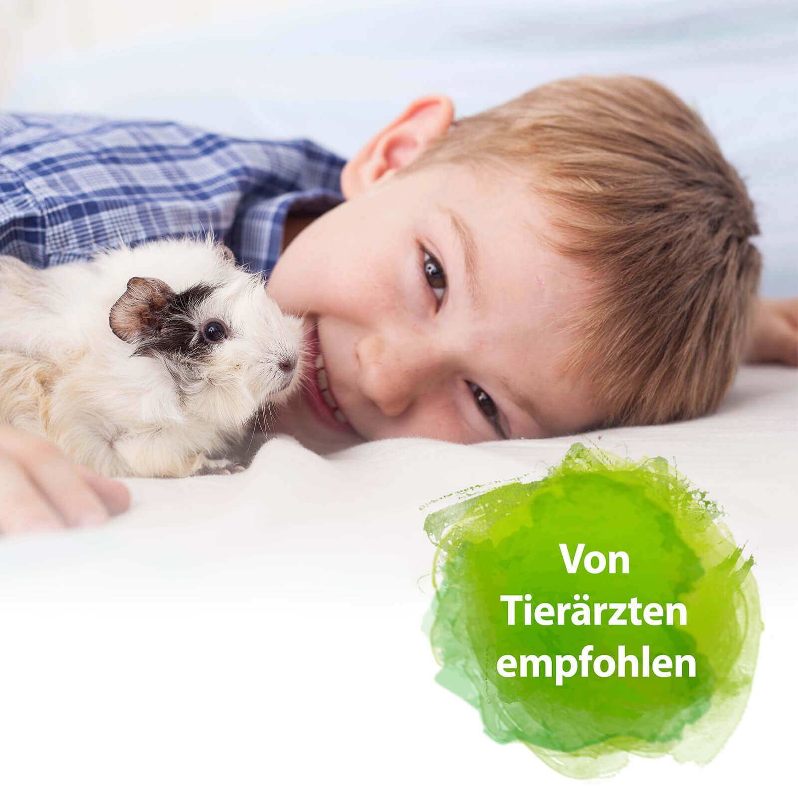 Kind liegt auf Decke mit Meerschweinchen - Von Tierärzten empfohlen
