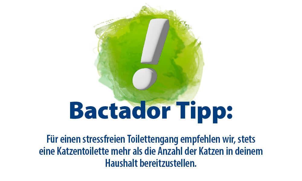 Ausrufezeichen Bactador Tipp - Text  Für einen stressfreien Toilettengang empfehlen wir immer eine Katzentoilette mehr als Katzen im Haushalt leben