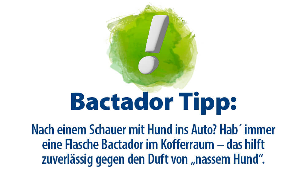 Ausrufezeichen Bactador Tipp- Text NAch einem Schauer mit Hund ins Auto? Hab immer eine Flasche Bactador dabei - Das hilft zuverässig gegen den Duft von  nassem Hund
