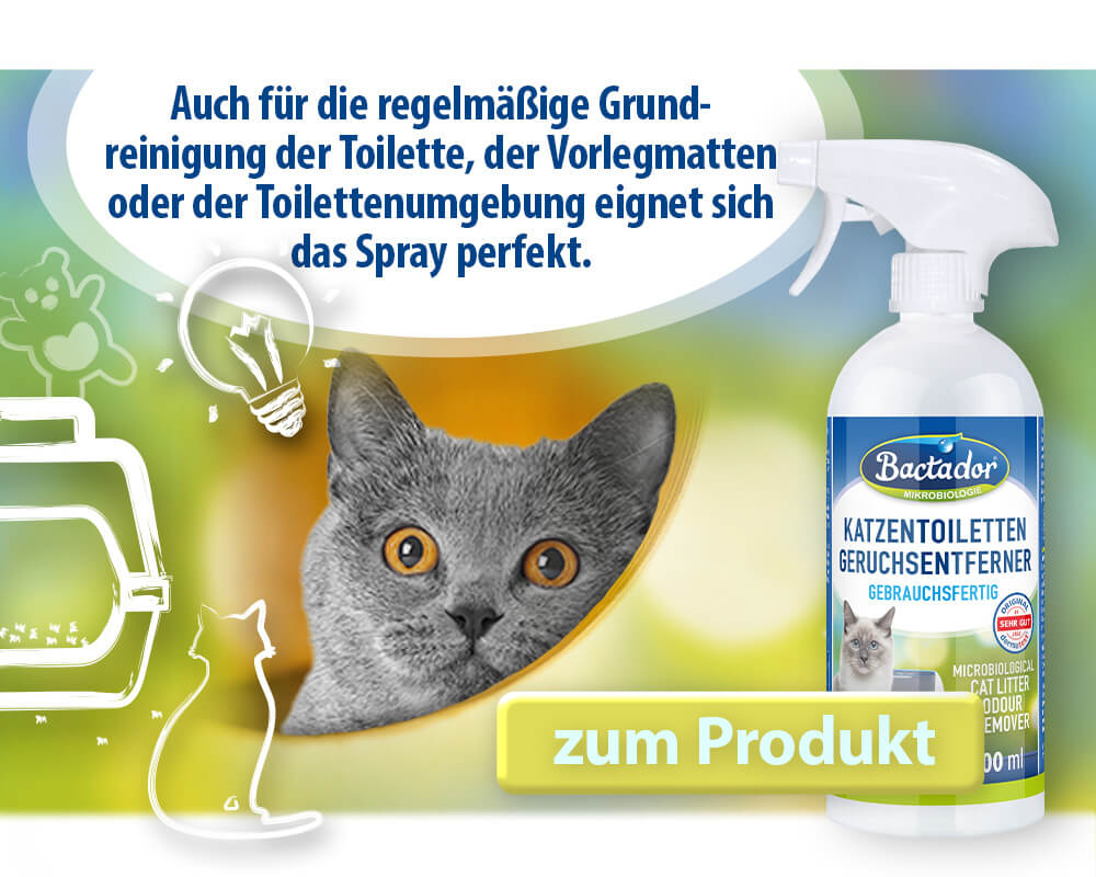 Katze schaut aus  Versteck heraus. Icons Katzentoilette, Spielzeug , Katze und Glühbirne - Text Auch für die regelmäßige Grundreinigung der Toilette, der Vorlegmatten oder der Toilettenumgebung eignet sich das Spray perfekt - Buttontext zum Produkt