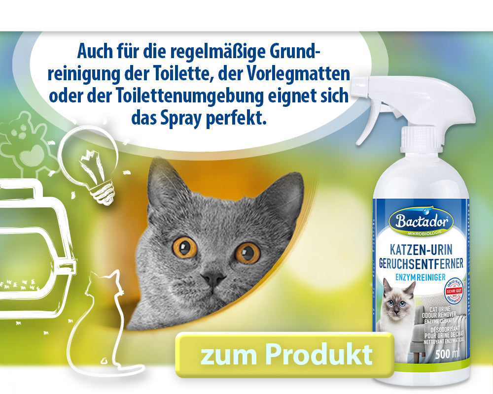 Katze schaut aus Versteck heraus. Icons Katzentoilette, Spielzeug , Katze und Glühbirne - Text Auch für die regelmäßige Grundreinigung der Toilette, der Vorlegmatten oder der Toilettenumgebung eignet sich das Spray perfekt - Buttontext zum Produkt