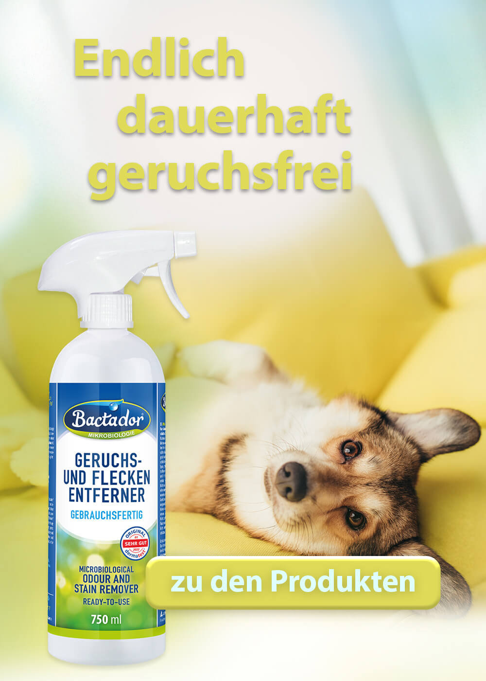 Hund liegt auf gelber Couch - links Bactador Geruchs- und Fleckenentfernerflasche - Buttontext zu den Produkten