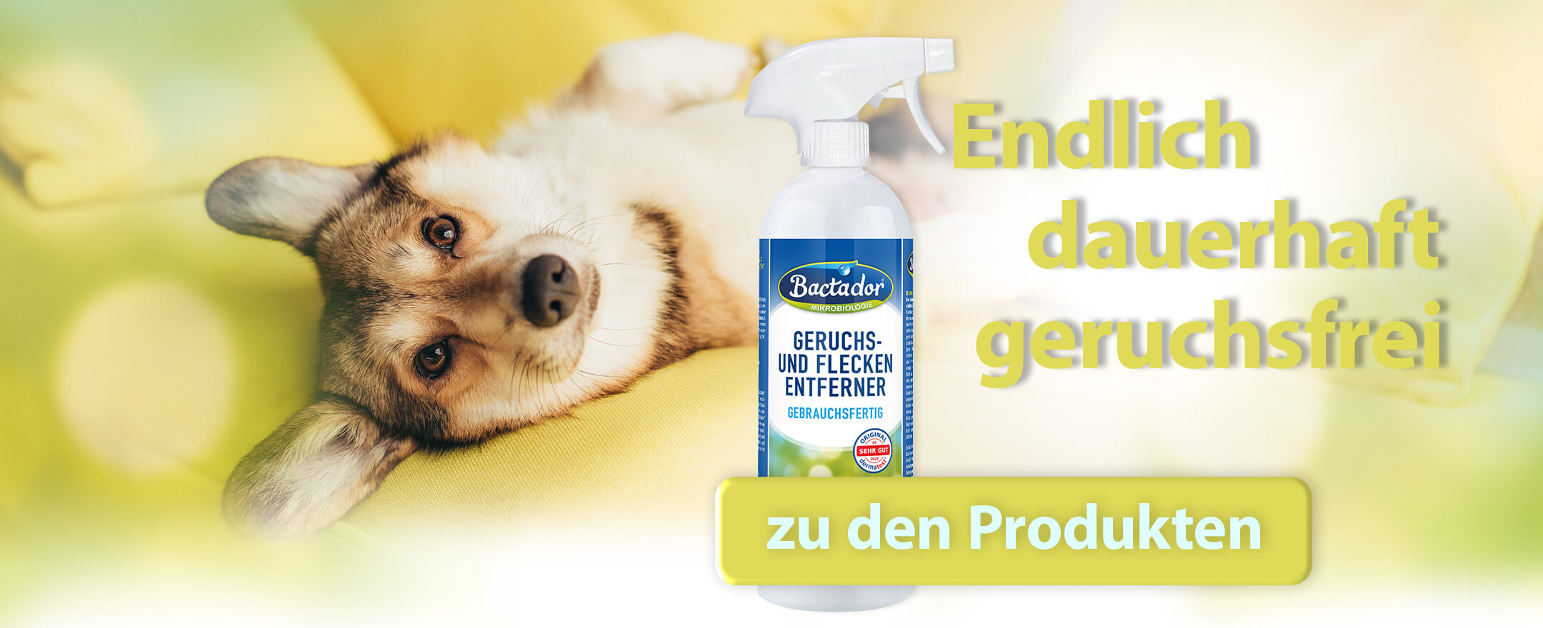 Hund liegt auf gelber Couch - Bactador Geruchsentferner und Text - Endlich dauerhaft geruchsfrei