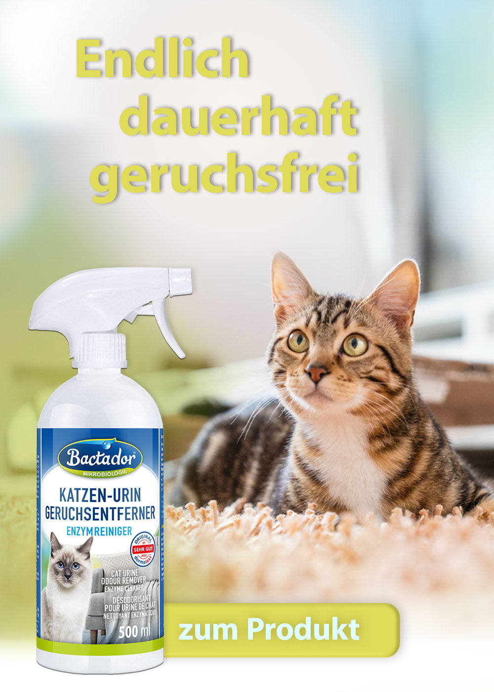 Katze liegt auf Teppich und schaut hoch - Bactador Flasche steht vorm Bild - Button Text zu den Produkten - Text Endlich dauerhaft geruchsfrei