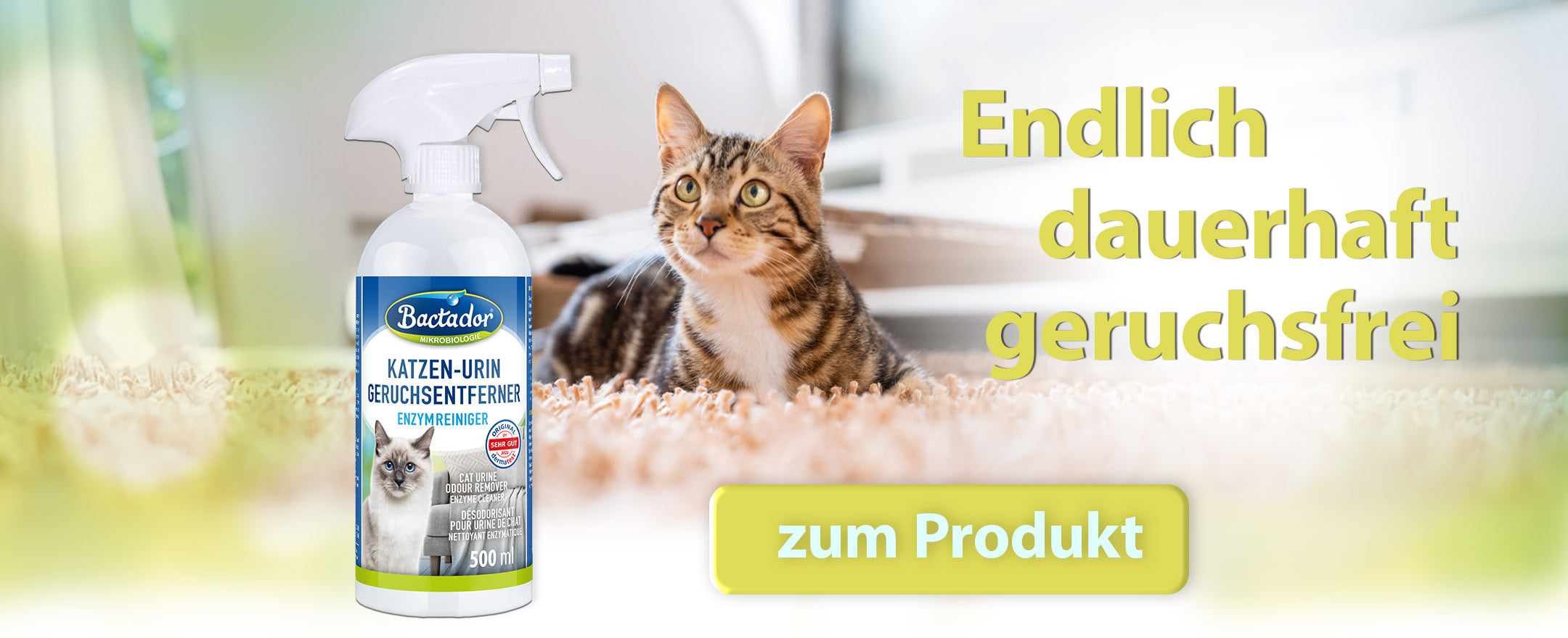 Katze liegt auf Teppich und schaut hoch - Bactador Flasche steht vorm Bild - Button Text zu den Produkten - Text Endlich dauerhaft geruchsfrei