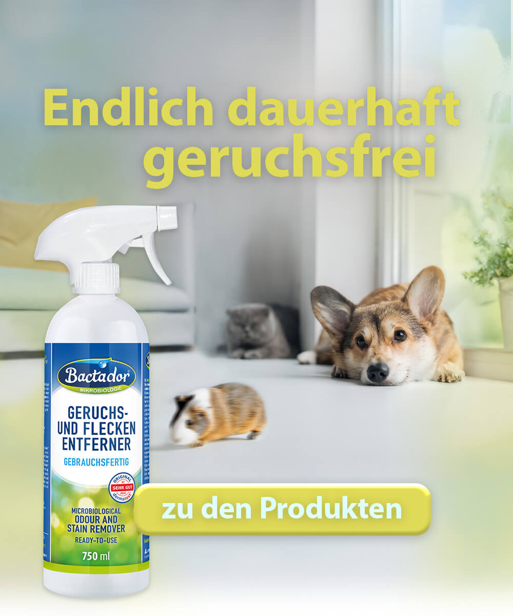 Bactador Geruchsentferner 750 ml- Meerschweinchen, Hnd und Katze liegen auf dem Boden neben Sofo - Gelber Button mit Text  zu den Produkten