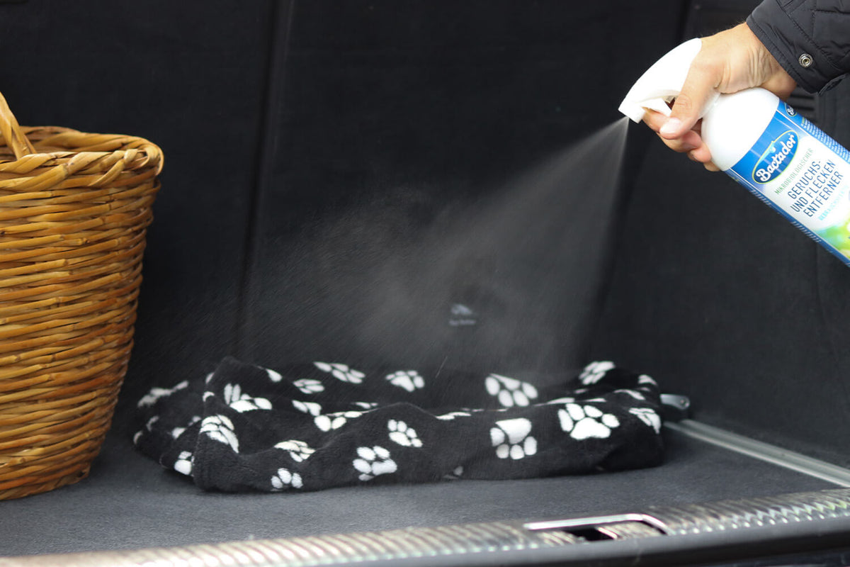 Bactador Geruchsentferner Spray in Kofferraum auf Hundedecke