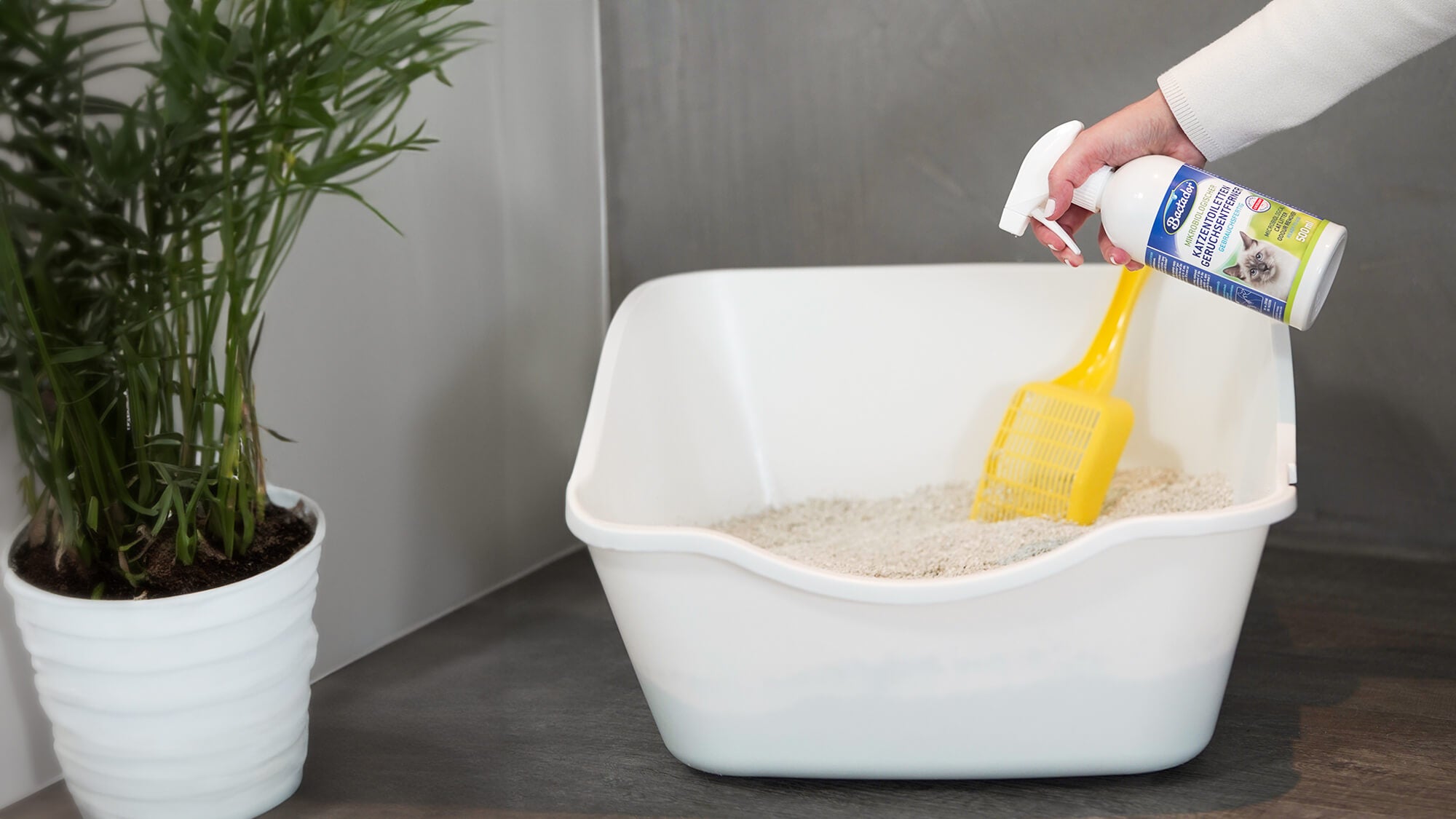 Katzenklo reinigen mit dem Bactador Katzentoiletten Geruchsentferner