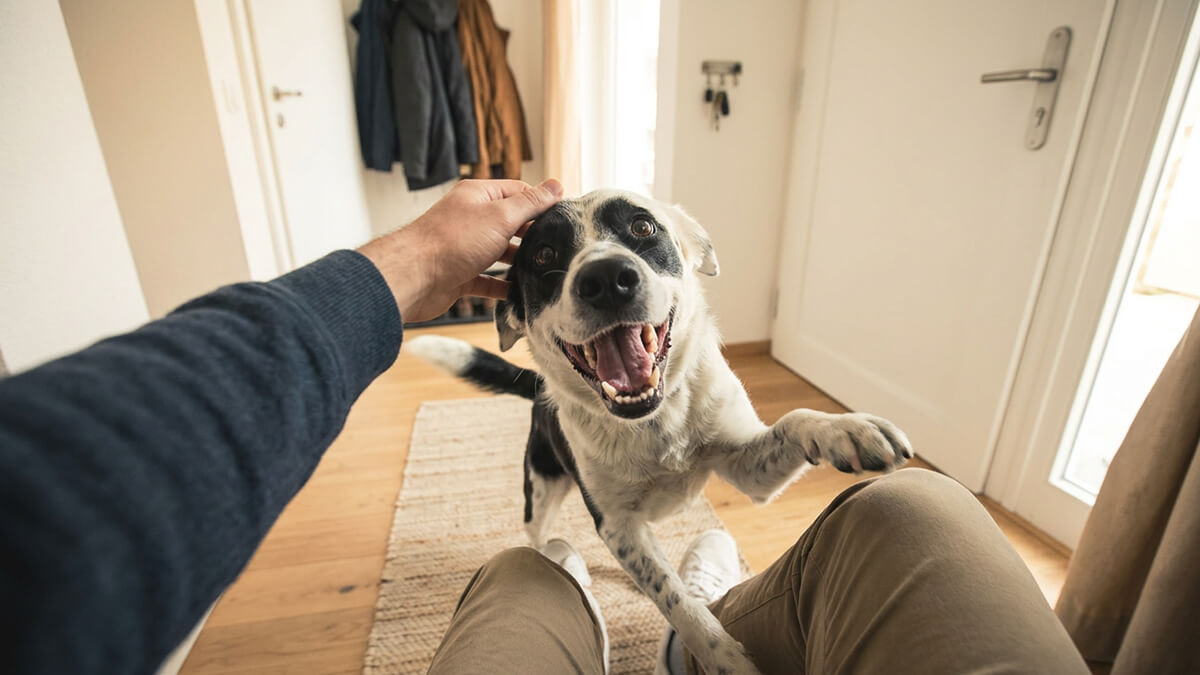 Mann sitzt im Eingangsbereich einer Wohnung und wird von seinem Hund begrüßt