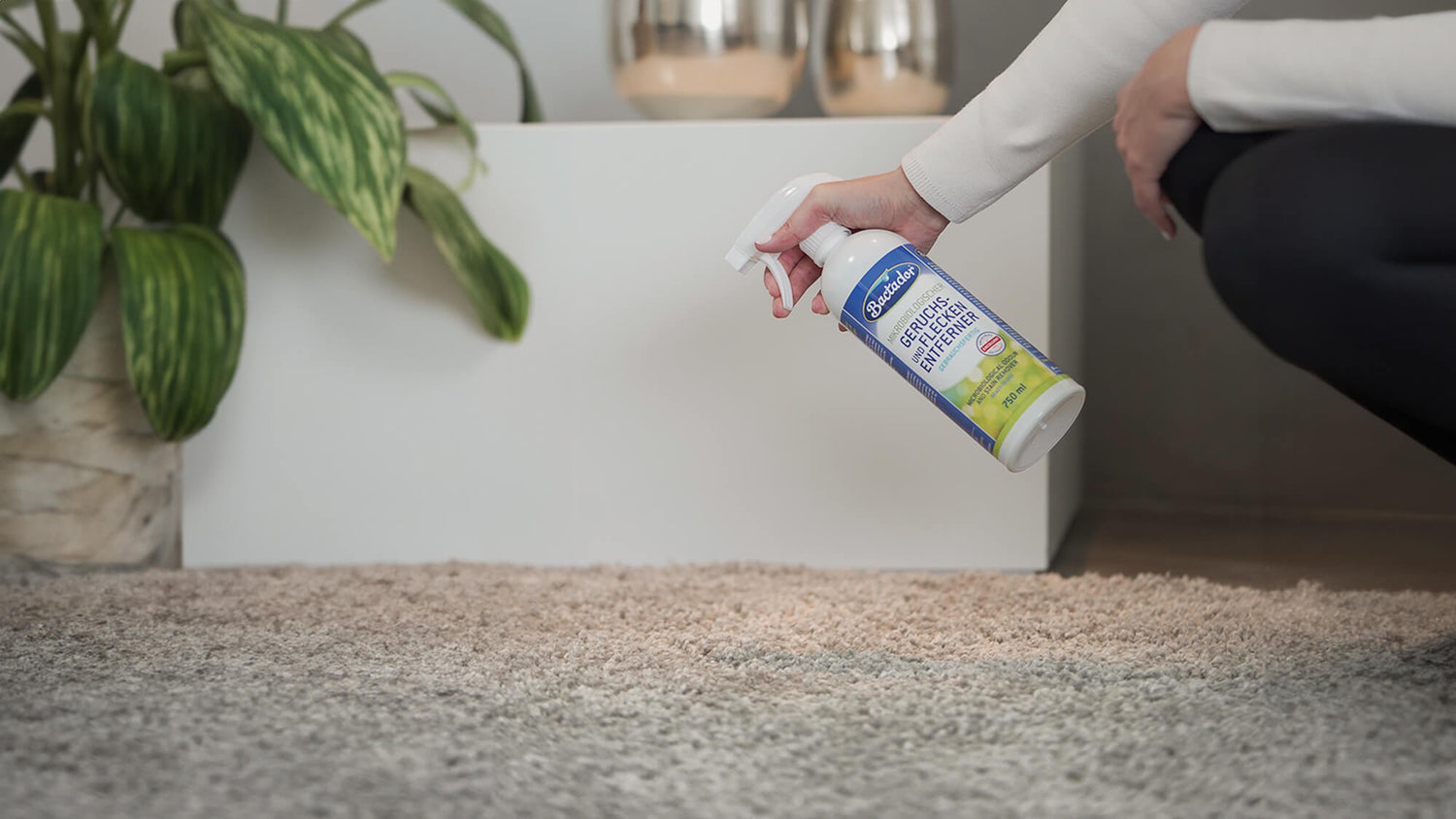 Teppich Gerüche entfernen