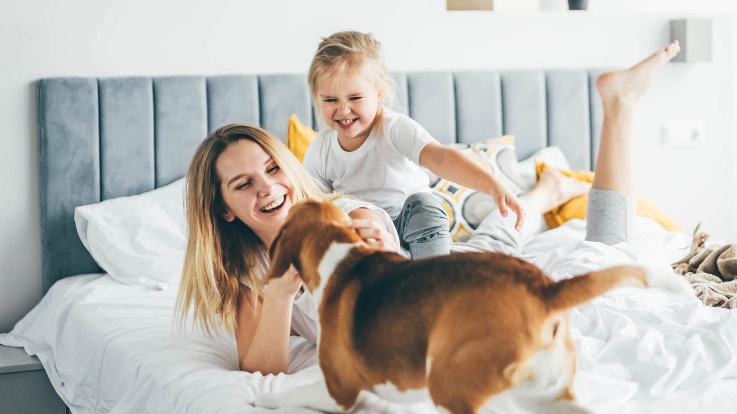 Hundeurin entfernen Bett