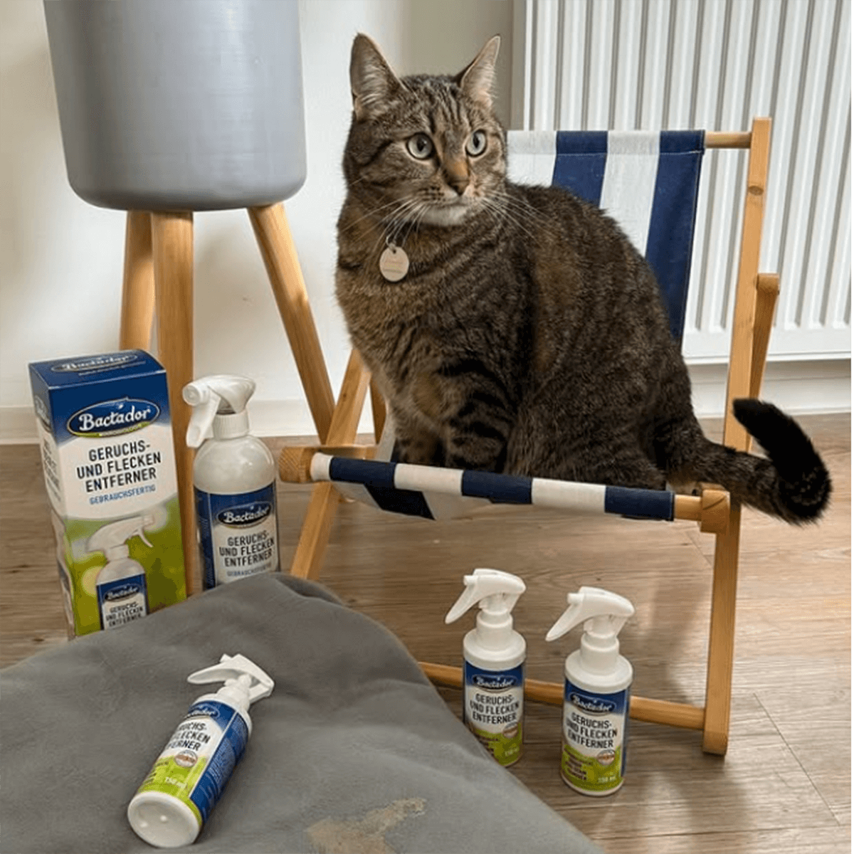 Katze sitzt auf Strandliege im wohnzimmer - mehrere Bactador Flaschen drumherum