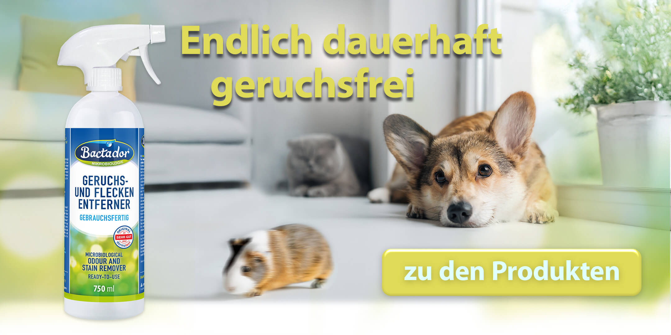 Katze Hund und Meerschwein liegen auf Boden-Endlich dauerhaft geruchsfrei - Bactador Geruchs- und Fleckenentferner Flasche links
