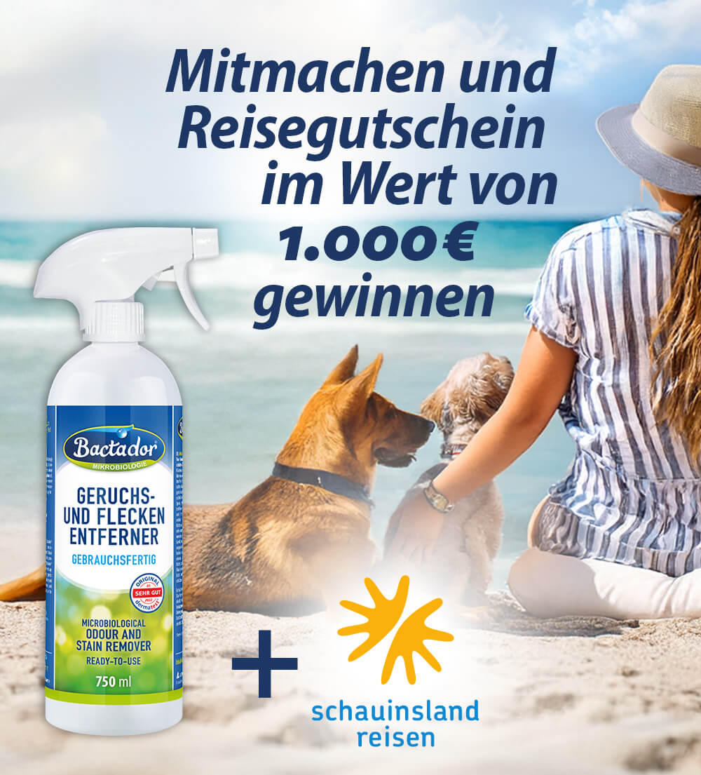 Gewinnspielbanner - Mitmachen und Reisegutschein gewinnen im Wert von 1000 Euro-BactadorFlasche und schauinslandreisen-Logo - Frau sitzt mit zwei Hunden am strand und schaut aufs Meer