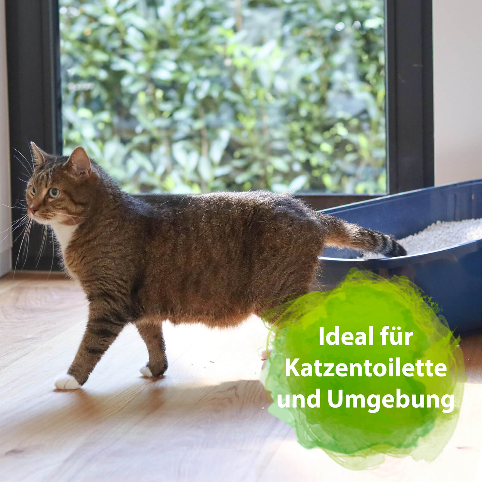 Katze steigt aus dem Katzenklo mit der Schrift "Ideal für Katzentoilette und Umgebung"
